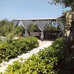 Panorama *