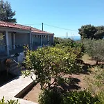 Lägenhet Panorama *