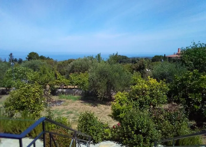 Panorama
