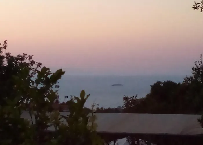 Panorama *