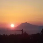 Panorama *