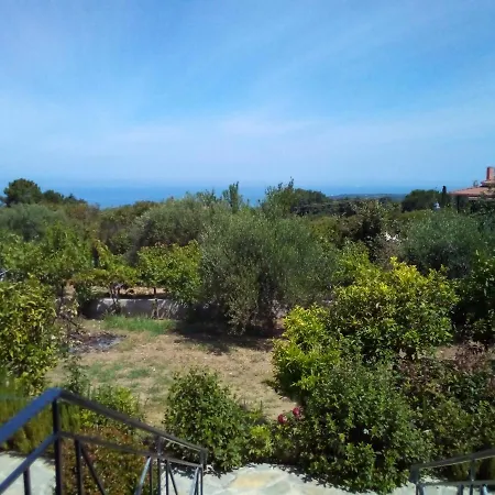 Panorama