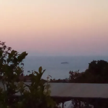Panorama *