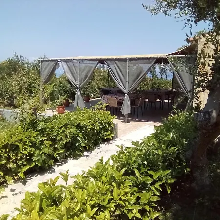 Panorama *