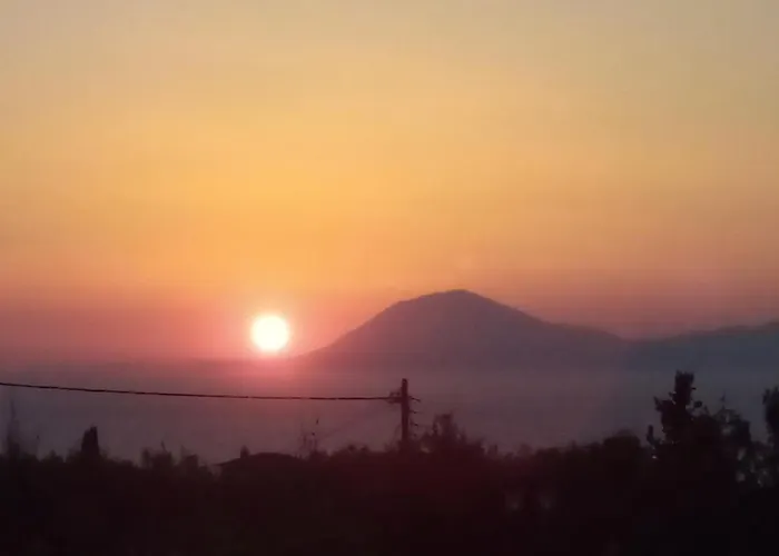 Panorama *