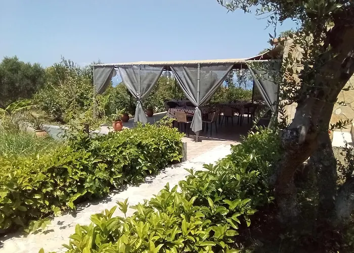 Panorama *